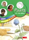 Bible Discover & Learn - Plants of the Bible, Colouring Book